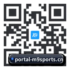 系统版 iOS 二维码